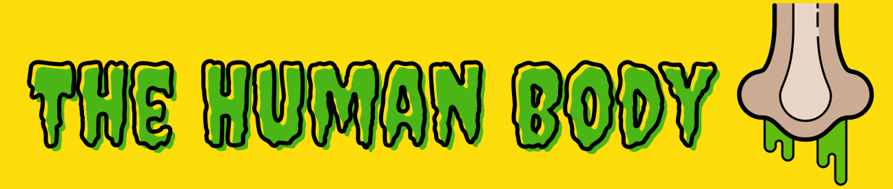 The Human Body header text: the human body, image: runny nose