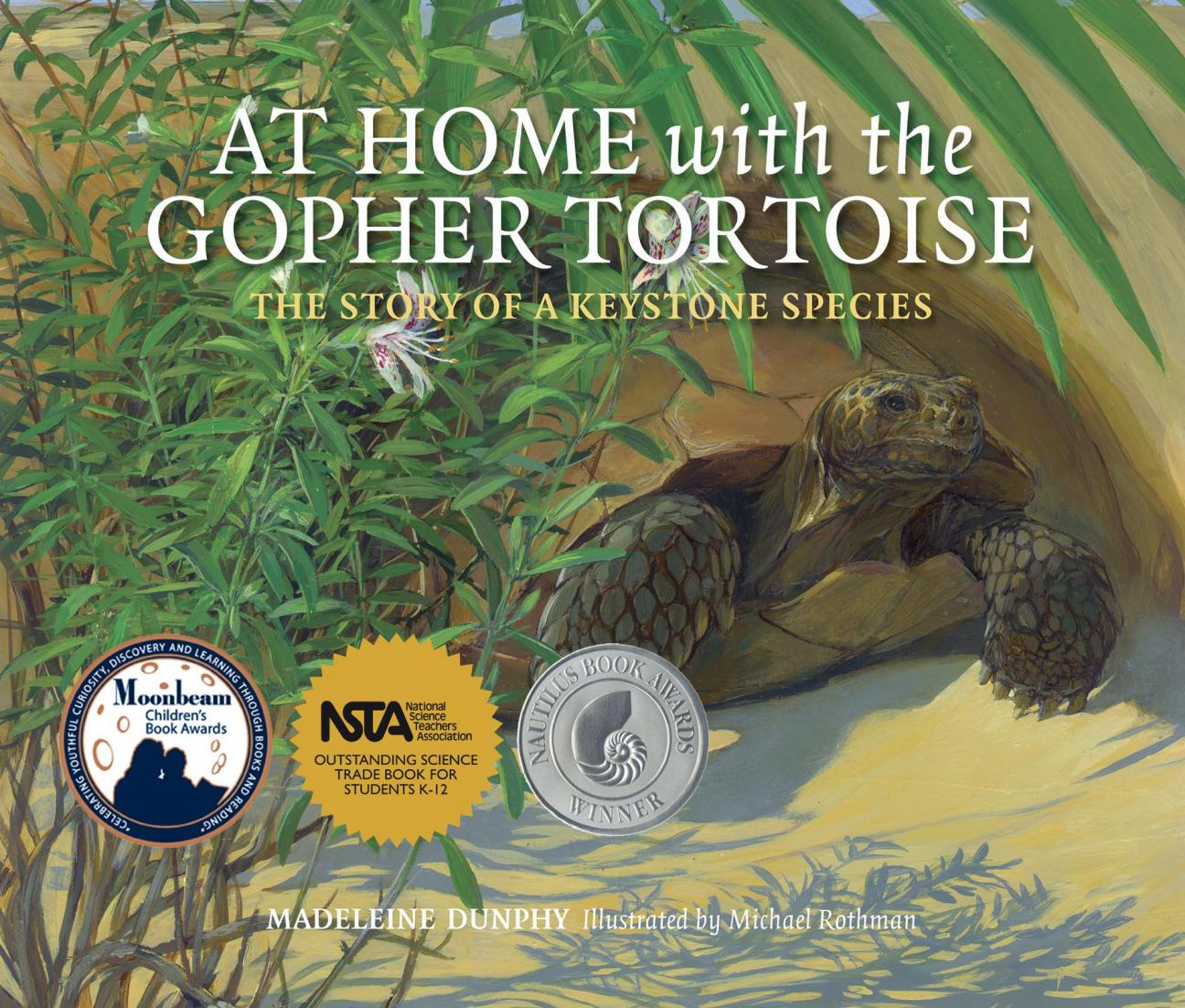 gopher tortoise, florida native tortoise, tortoise, juvenile, teen, adult