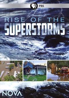 Collage of 4 images of hurricane destruction
