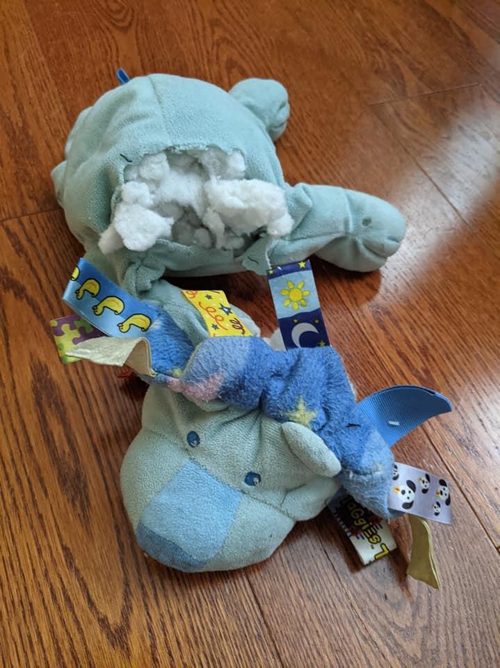 picture of a blue plushie lion with his head separated from his body