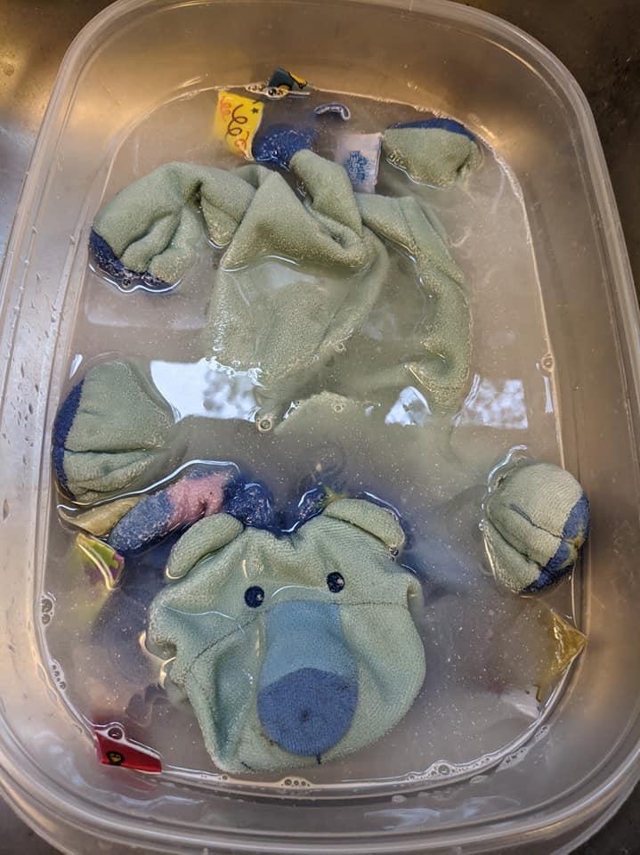 picture of a blue plushie lion, unstuffed and being washed in a tub