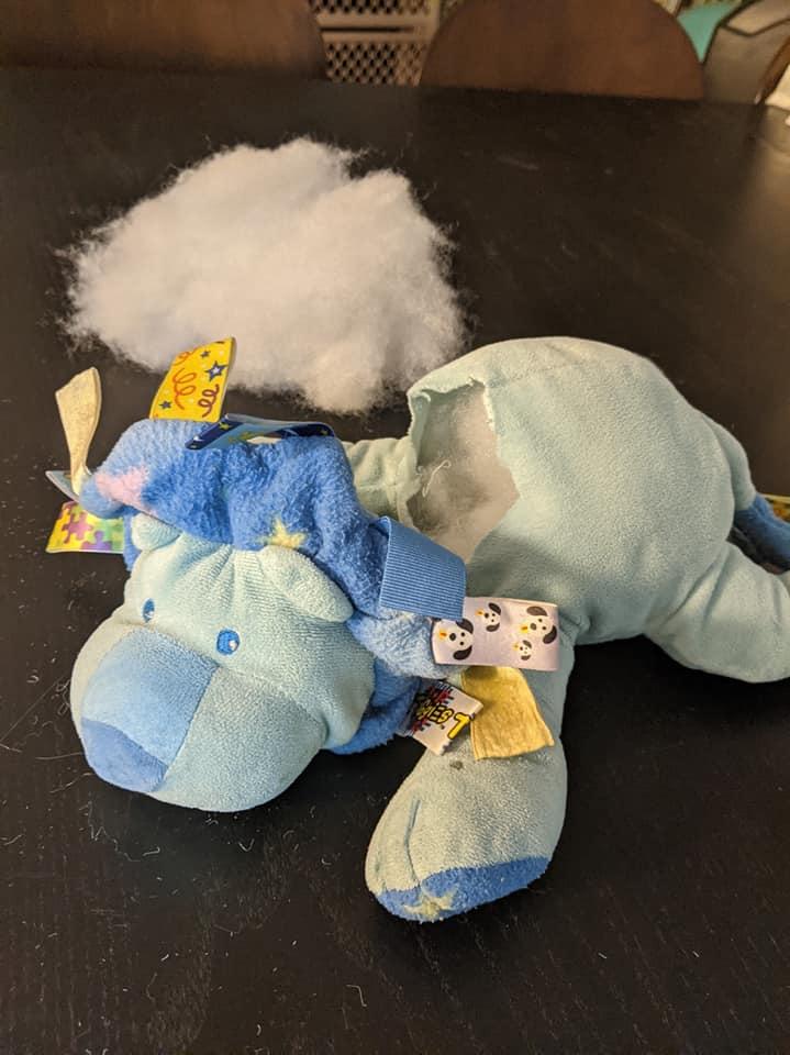picture of a blue plushie lion being restuffed