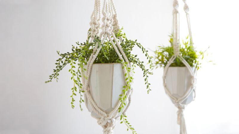 Macrame Plant Hanger