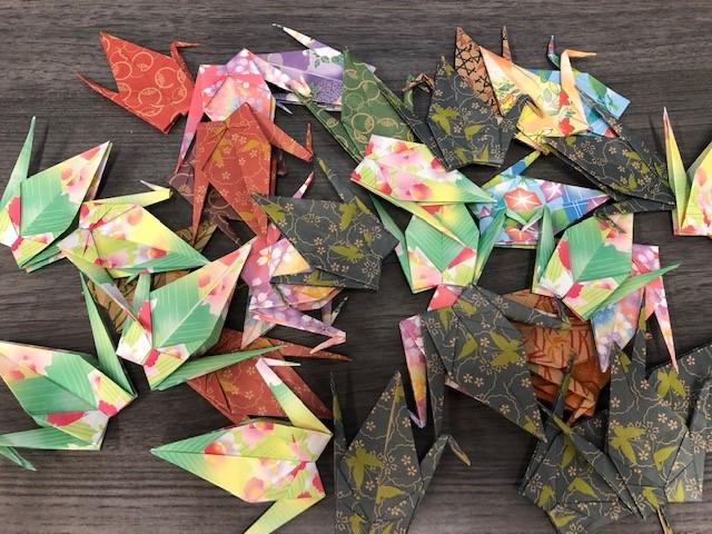 A photo of the cranes I have folded