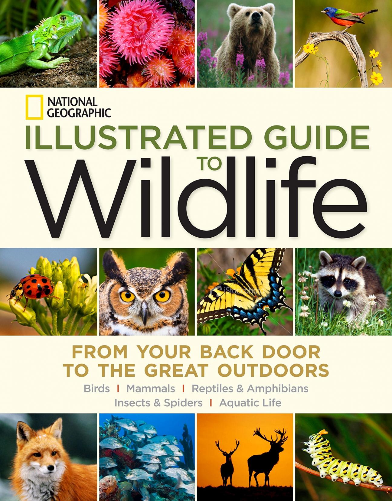The cover of National Geographic's Illustrated Guide to Wildlife, featuring multiple photos of wild creatures