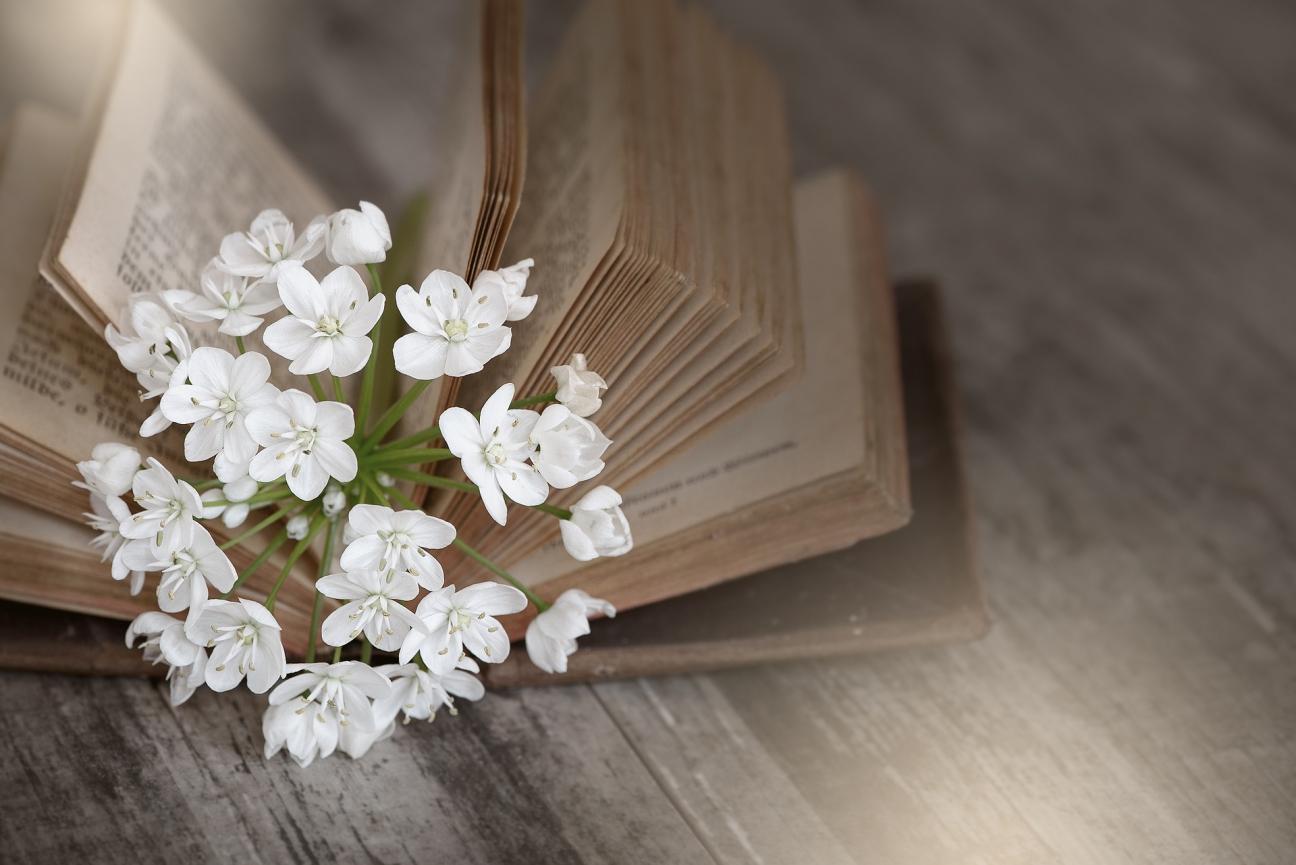 open book with flower