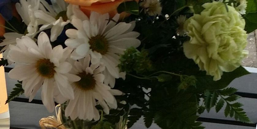 Daisies Daisies