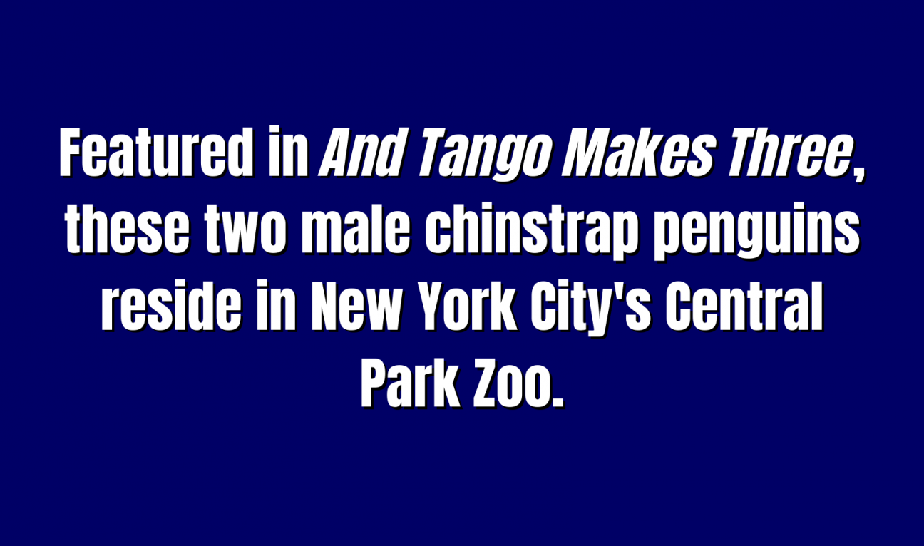 Featured in And Tango Makes Three, these two male chinstrap penguins reside iin New York City's Central Park Zoo.