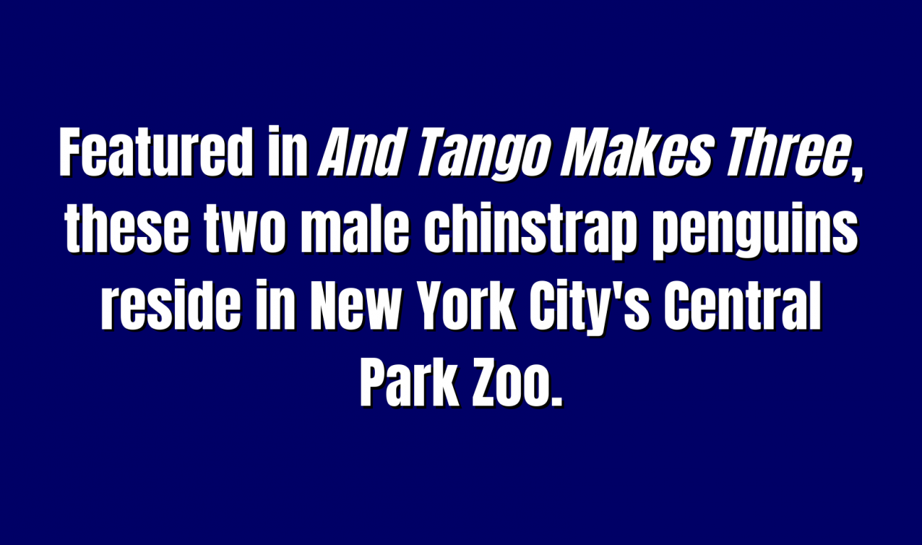 Pop Culture for 100 Featured in And Tango Makes Three, these two male chinstrap penguins reside iin New York City's Central Park Zoo.