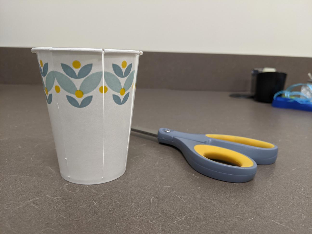 Cut your cup A paper cup, the sides of which are cut into seven sections