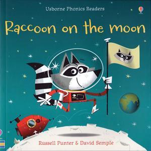 Book Cover: Raccoon on the moon by Russell Punter