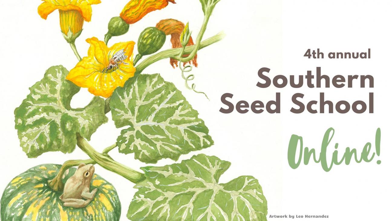 seed school