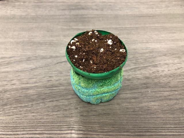 A plastic water bottle planter filled with soil