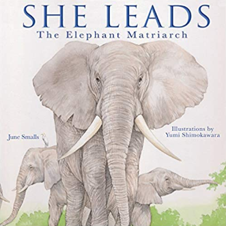 She Leads The Elephant Matriarch book cover She Leads The Elephant Matriarch book cover