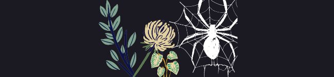 black background w blue plant, pinkish puff flower, caladiums and a white spider w web