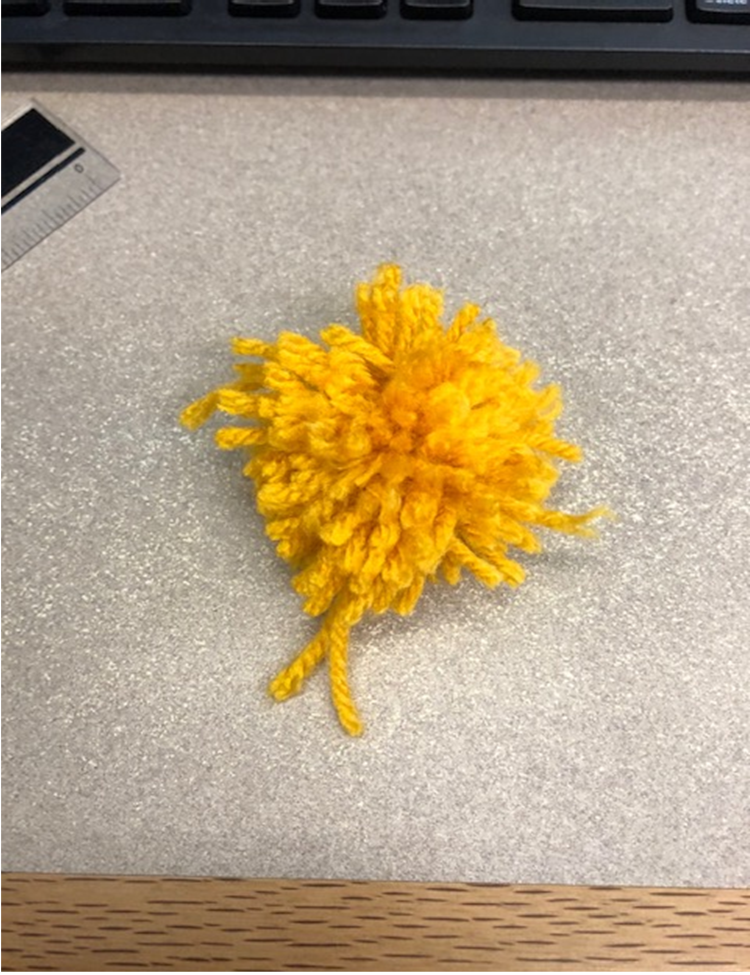 pom pom step 5