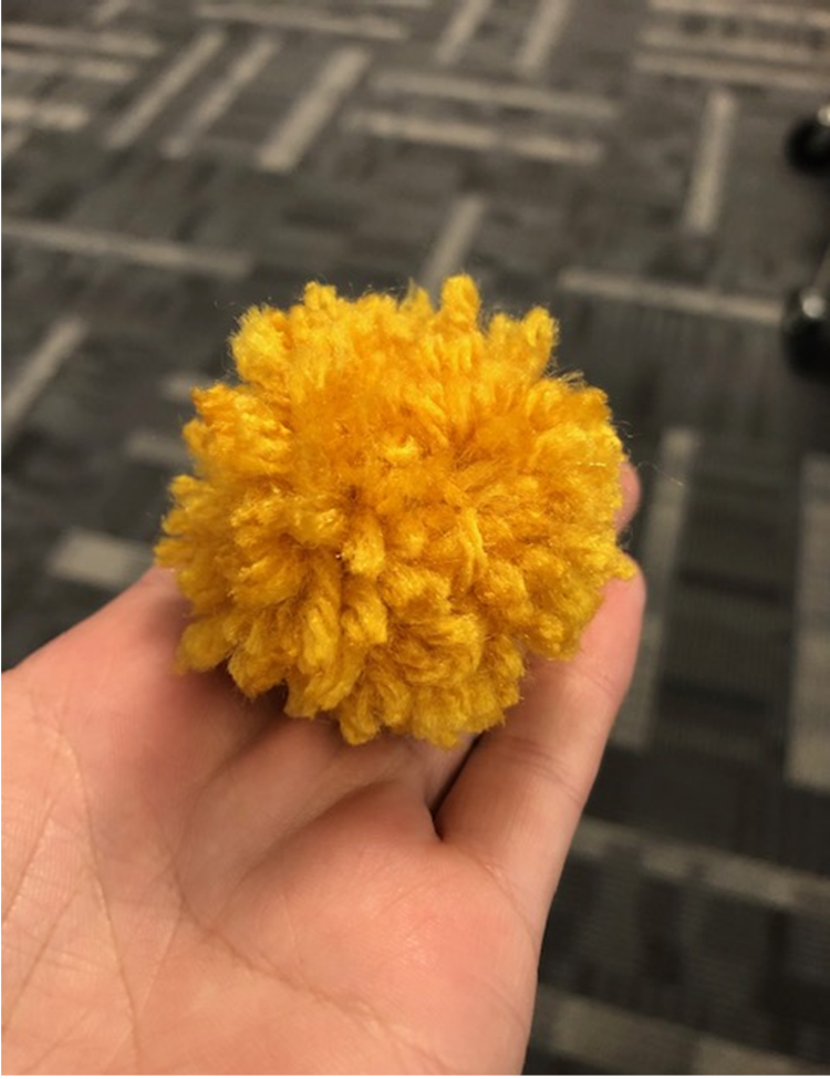 pom pom step 6