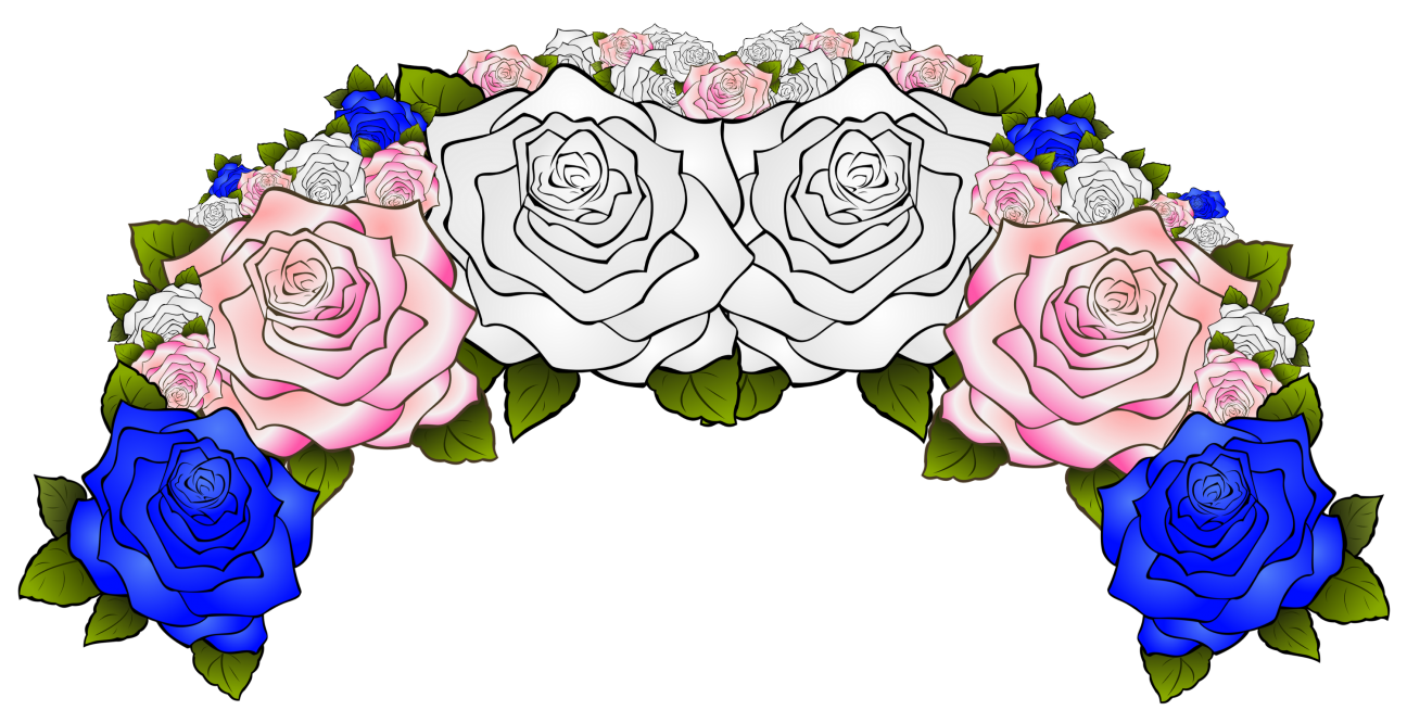 Transgender Pride Flag A flower crown composed of flowers from the transgender pride flag, including pink, blue, and white.