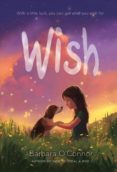 Wish by&nbsp;Barbara O'Connor