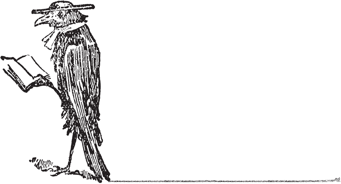A line drawing of an upright bird reading a book and wearing a sunhat.