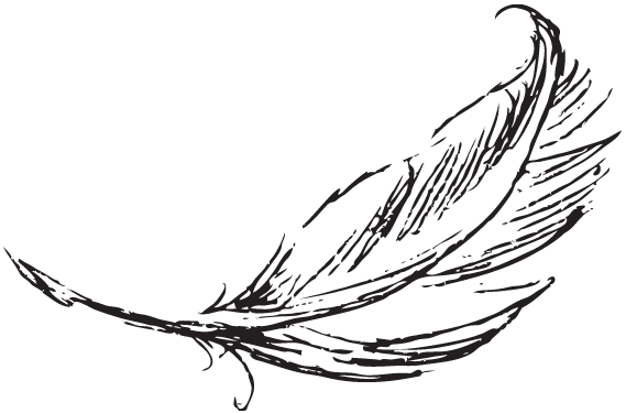 A line drawing of a single feather.