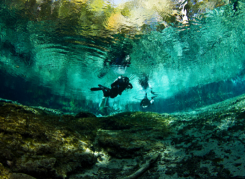 Scuba divers in Ginnie Springs