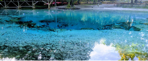 A photograph of Blue Springs, featuring the Blue Hole -- a deep drop in the sandy floor, that leads into a cave system.