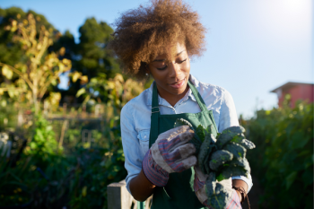 A photo of a person holding a vegetable taken from a garden. 