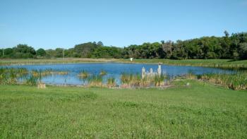Chapman's Pond