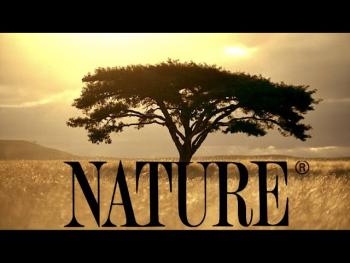 Nature image