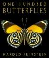 Book cover of One Hundred Butterflies with yellow and black butterfly