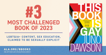 This Book is Gay 3