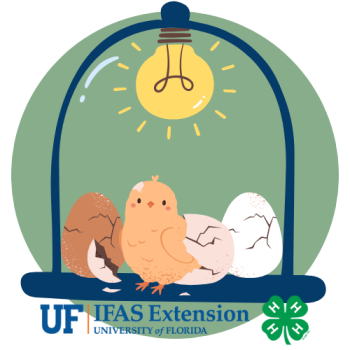 UF IFAS Extension logo, chicken, eggs, 4H