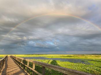 Paynes Prairie rainbow 2