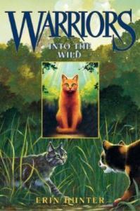 Into the Wild book cover