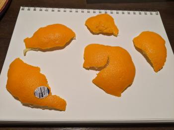 A photo of sections of orange peel laid out on a sketchpad.