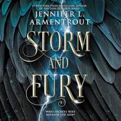 Storm and Fury book cover