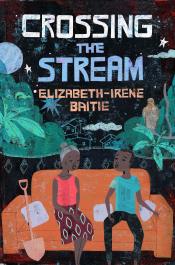 book cover for crossing the stream by elizabeth-irene baitie