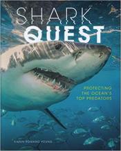 shark quest by karen romano young