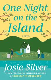 One Night on the Island cover art