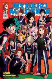 mha v4