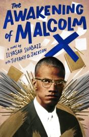 The Awakening of Malcolm X cover art