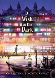 A Wish in the Dark cover art