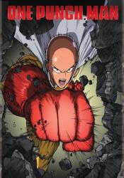 Manga Unmasked: One-Punch Man  Alachua County Library District