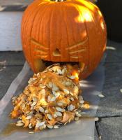 A pumpkin throwing up seeds