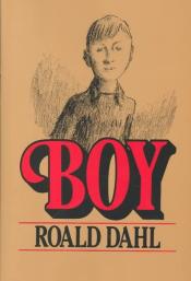 Boy: Tales of Childhood