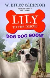 Dog Dog Goose cover art
