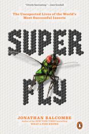 Super Fly cover art