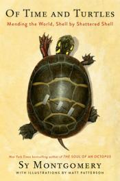 Of Time and Turtles cover art