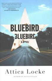 Bluebird, Bluebird 